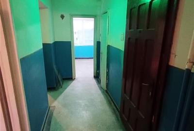 Apartament 3 camere in Moldova Noua - 8