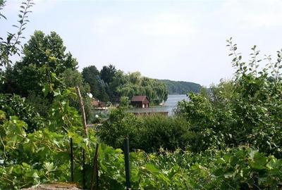Snagov, casa 5 camere,  2021, Snagov, Ghermanesti - 3