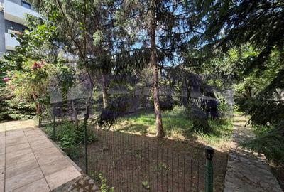 VANZARE VILA 280 MP UTILI | TEREN 900 MP | 5 CAMERE | VOLUNTARI - 24