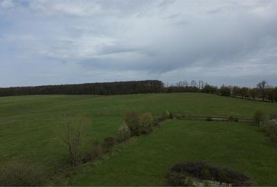 Teren intravilan 5800 mp Mitocasi - Suceava! - 1