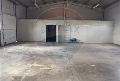 Hală cu acces TIR si teren de închiriat Arad. De la 600 euro/150 mp - 4
