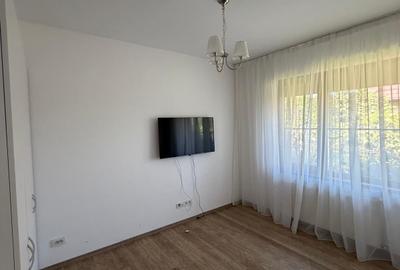VANZARE CASA INDIVIDUALA/110MP UTILI/TEREN 550MP/DUMBRAVENI BALOTESTI - 18