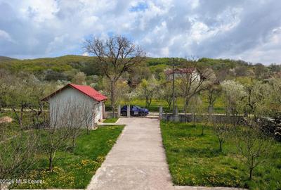 Arges | Valea Mare-Bratia | Vila veritabila 276 mp in zona pitoreasca - 11