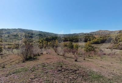 Teren agricol extravilan de 7382 mp, în Valea Lungă-Cricov