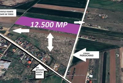 Teren Construcții intravilan de 12500 mp, în Periș