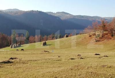 Teren Construcții intravilan de 2050 mp, în Scărișoara
