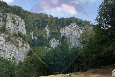 Teren intravilan 1,127mp Remeti / Strada Principala - 11