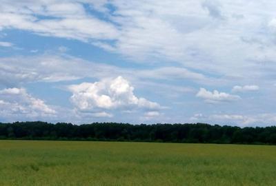 Teren agricol extravilan de 21000 mp, în Moara Vlăsiei
