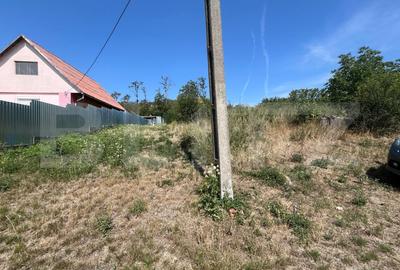 Teren Construcții de 1040 mp, în Podgoria