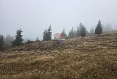 Teren de vânzare în Vatra Dornei | Drumul Dealul Negru