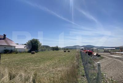 Teren Construcții intravilan de 3000 mp, în Exterior Sud