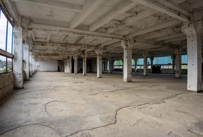Clădire industrială cu potențial mixt – producție, depozitare, servicii –Toplița - 4