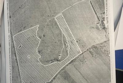 Targoviste - Teren 10ha - Posibilitate investitii - Parcelare - 4