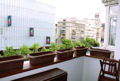 Hop Into Your New Home – 2-Room Apartment with Bubu & Babu! - 2