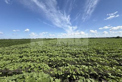 Teren agricol extravilan de 4000 mp, în Central