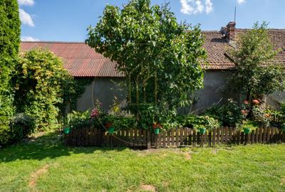 Casă de vânzare în Rotbav | Teren 1.500 mp | Zonă centrală - 3