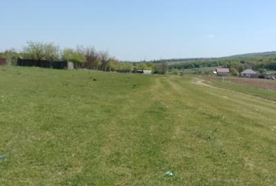 Teren extravilan 7.200 mp Bordea - Grajduri/ Oportunitate Investiție - 7