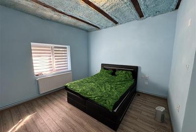 Casa 4 camere + 8418 mp de teren - 7