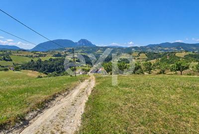 Teren agricol extravilan de 1061 mp, în Poiana Mărului