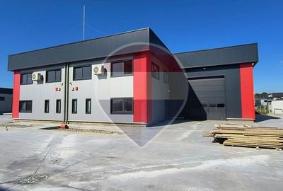 Hale noi de inchiriat Domnesti - putere instalata pana la 600kva - 1