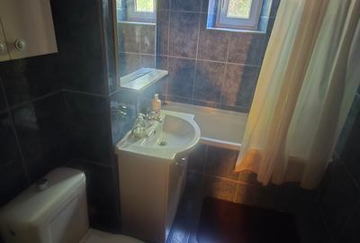 Exclusivitate-Capitol, ap. 2 camere, mobilat-utilat, centrala gaz, termen lung - 5