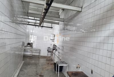 ABATOR DE VANZARE IN JUD CALARASI - 4
