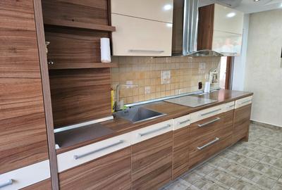 Apartament 3 camere Vasile Aaron - 5