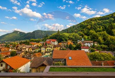 PENTHOUSE UNIC CU 168 MP UTILI SI 189 MP DE TERASE | SCHEI BRASOVUL - 4