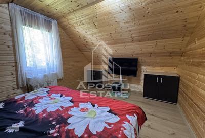Casa din lemn, zona muntoasa, cu rau, la cheie, Ribita, Hunedoara - 18