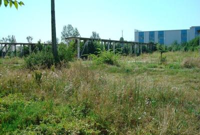Vanzare Teren Sos.Giurgiului-Gara Progresul-Romtrans-Dedeman Hypermarket-Sect.4 - 2