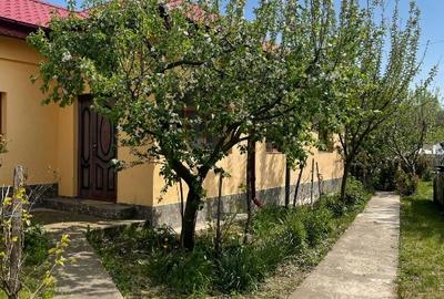 Casă individuală cu 4 camere în Vârtoapele de Jos