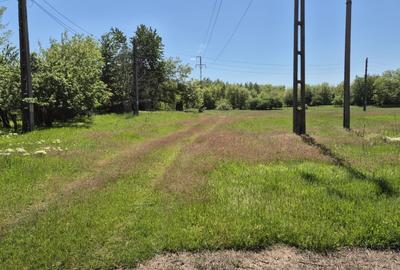 Teren intravilan de vanzare in Baicoi - 3