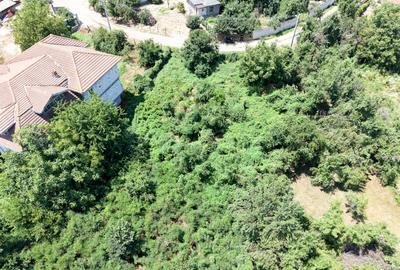 Curte 3200 mp Bolintin Vale, intravilan, intre case - 18