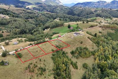 Teren agricol intravilan de 6801 mp, în Șirnea