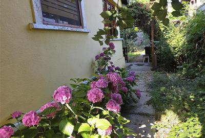 CASA DE VANZARE ZONA TABACOVICI - 1