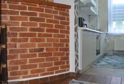Azuga-Apartament cu trei camere la parter - 6