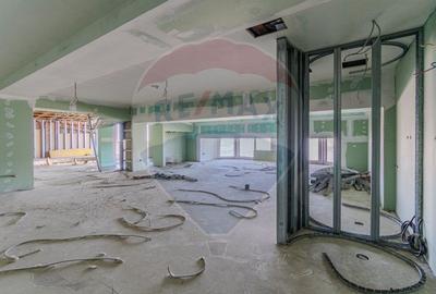 Activ Hotelier SubEvaluat | 18.000 mp construiti | 3 ha teren | BRASOV - 49
