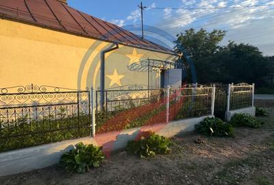 Casă de vânzare în Comuna Orodel – proprietate îngrijită, gata de locuit și cu p - 21