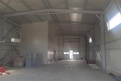 Vanzare depozit/hala/spatiu industrial Domnesti - Centura, Ilfov - 5