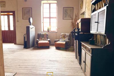 Proprietate pentru investiții | Moară și teren 23.861 mp - 3