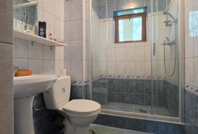 Vila individuala Chiajna - Rosu, peste 400 mp construiti, teren 1250 mp - 25