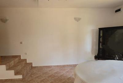 Casă S+P+M | Dârvari, Tămădău Mare | Teren 3000 mp - 9