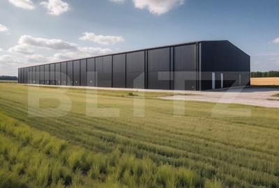Teren Construcții extravilan de 4300 mp, în Exterior Vest