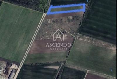 Teren 8.500 mp Corbeanca Ostratu | Lângă Pădure | 30 €/mp - 1