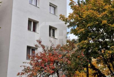 Apartament 2 camere, renovabil, zona Brancusi - Gheorgheni - 1