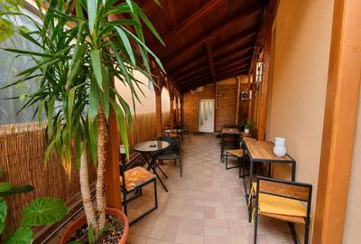 Afacere funcțională - Sală de Evenimente–Motel – Loc. Valea lui Mihai - 19
