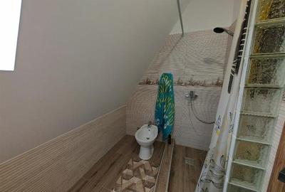 Inchiriem Casa Individuala, 3 Camere, Mobilata, Harman - 33