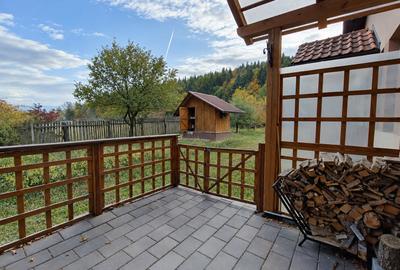 Casă cu teren de 2.000 mp, pârâu și foișor – Vulcan, Brașov - 18