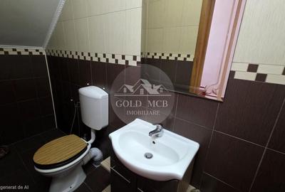 Vila Colentina- Andronache - 17