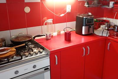 Apartament cu 3 camere decomandat, etaj 1/4,  zona Canta - 2
